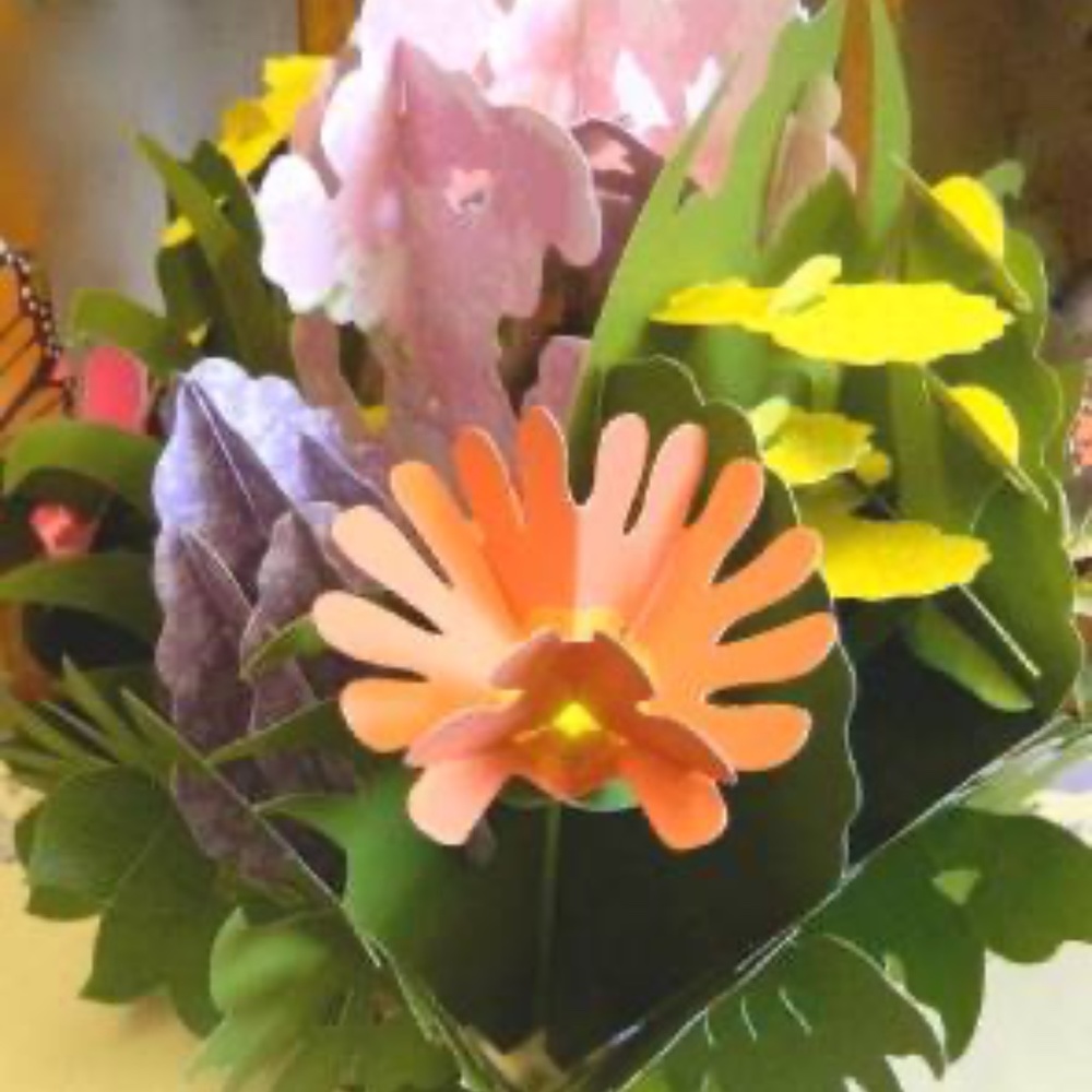 PAPER BLOOMS POP UP BOOK OF BEAUTIFUL BOUQUETS An 'indoor garden florist shop' - Picture 2 of 5